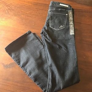 NWT | Express Stella Low Rise Boot Cut Jeans
